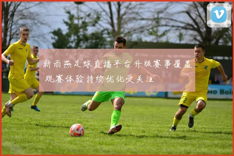 新雨燕足球直播平台升级赛事覆盖 观赛体验持续优化受关注