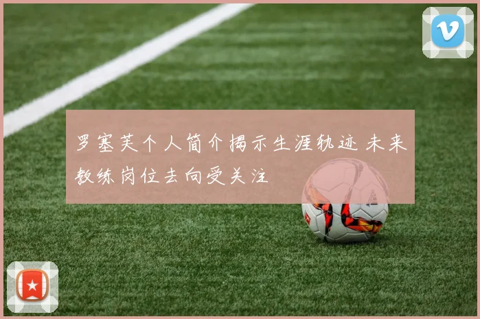 罗塞芙个人简介揭示生涯轨迹 未来教练岗位去向受关注