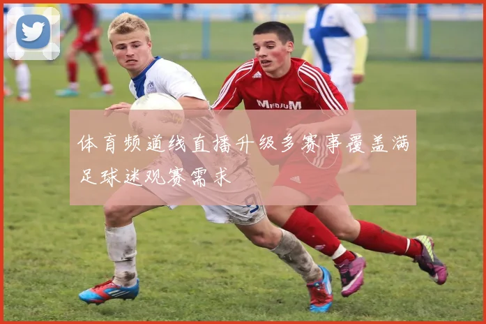 体育频道线直播升级多赛事覆盖满足球迷观赛需求