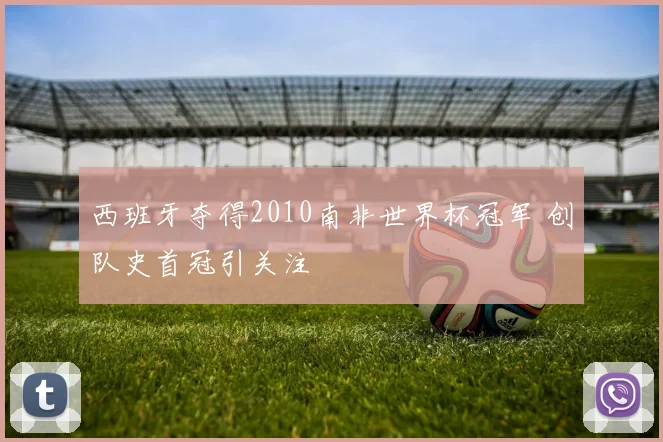 西班牙夺得2010南非世界杯冠军 创队史首冠引关注