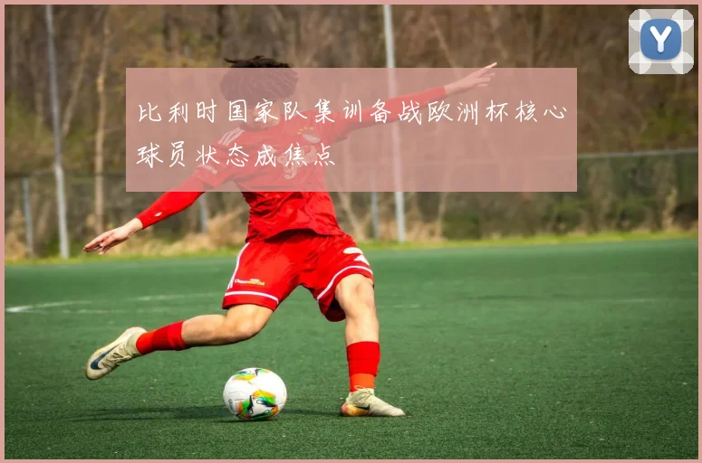 比利时国家队集训备战欧洲杯核心球员状态成焦点