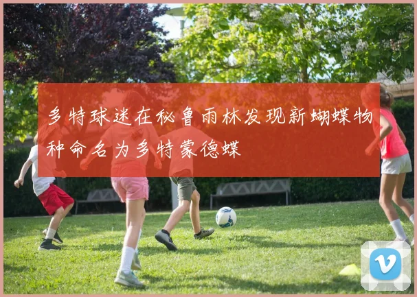 多特球迷在秘鲁雨林发现新蝴蝶物种命名为多特蒙德蝶