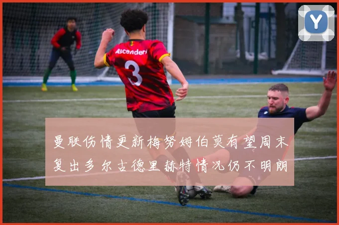曼联伤情更新梅努姆伯莫有望周末复出多尔古德里赫特情况仍不明朗